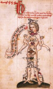 Medieval Illustration of the Zodiacal signs on parts of the body
