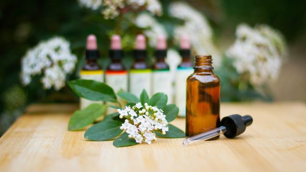 A twig with tiny flowers, a bottle and eye-dropper on a table