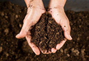 two hands cupping soil